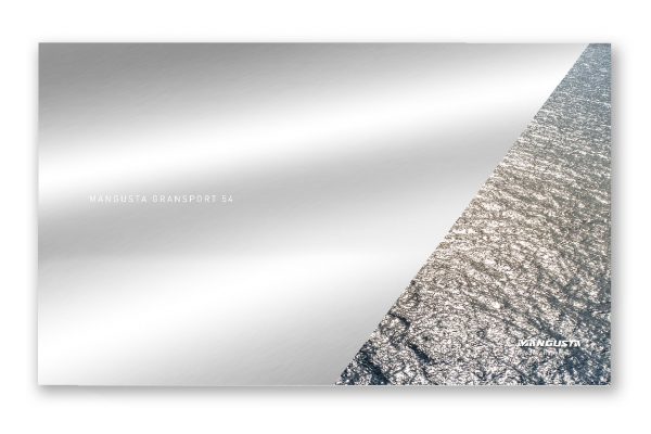 20190116_master_layout_case_mangusta._ok-15-min-1-600x400