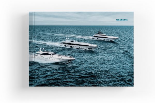 20190116_master_layout_case_mangusta._ok-19-min-600x400