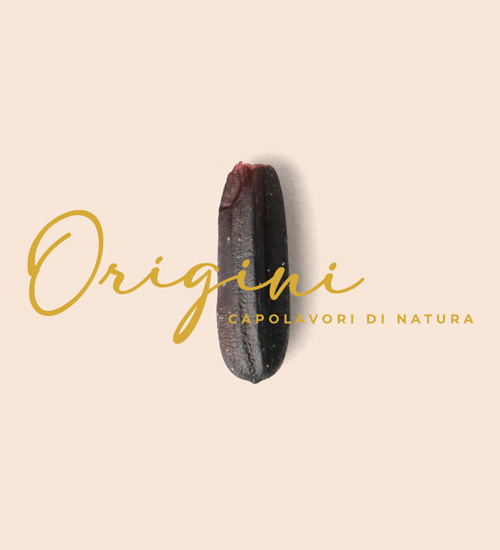 Box-laterale-1-vignola-brand-strategy