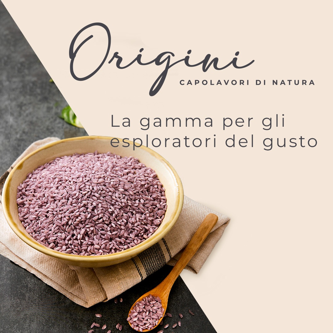 Vignola-social-strategy-1